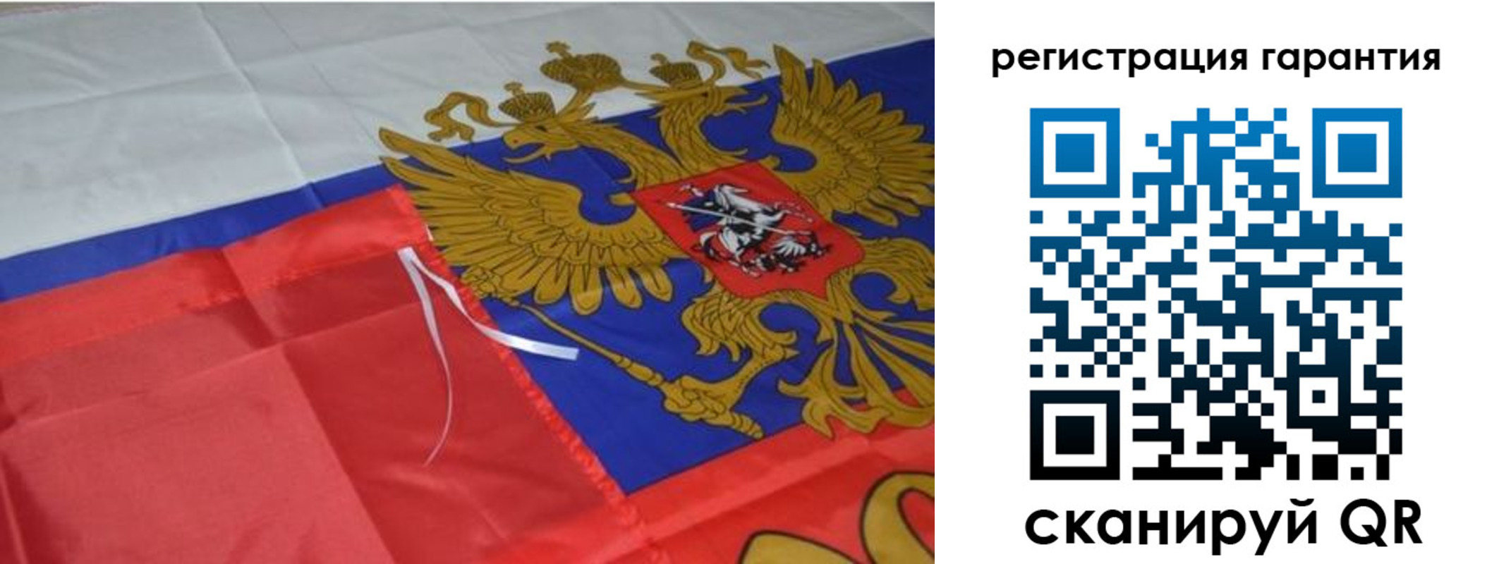 прописка 2025 в Звенигово