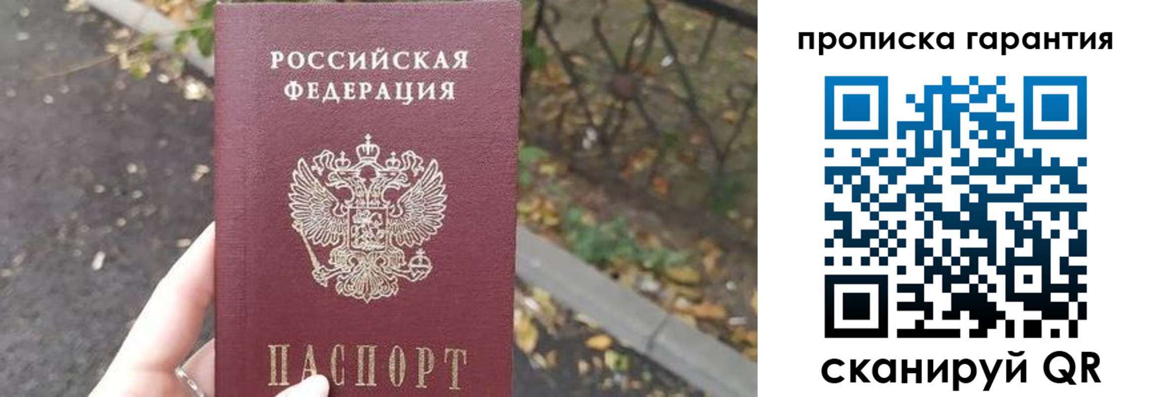 где прописаться в Звенигово